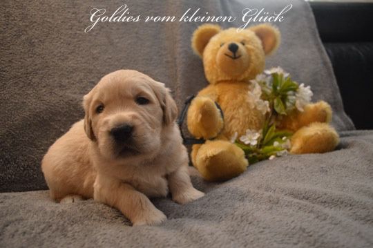 WhatsApp Image 2022 04 29 at 18.30.15