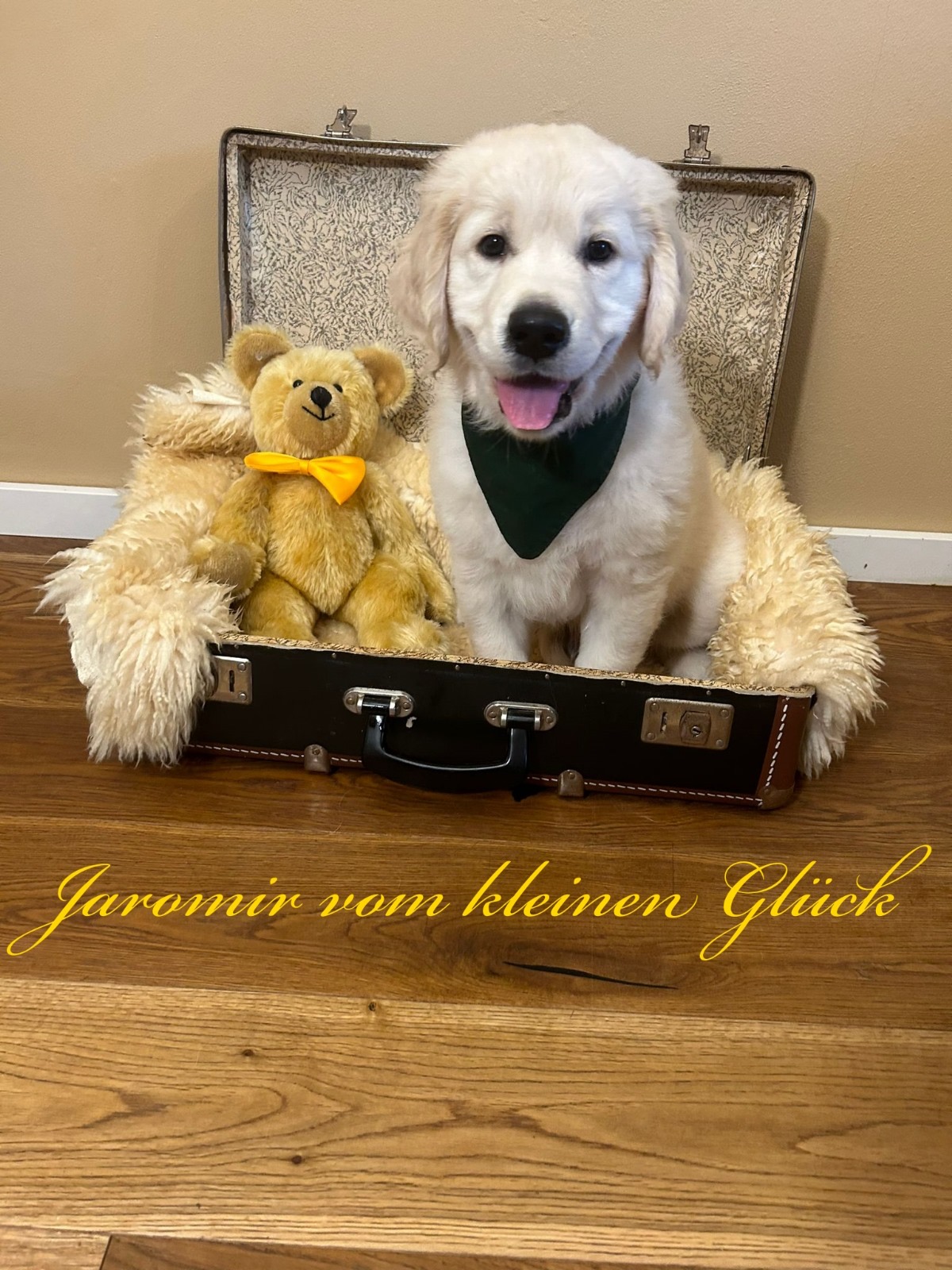 Jaromi Homepage23.06.2024 1