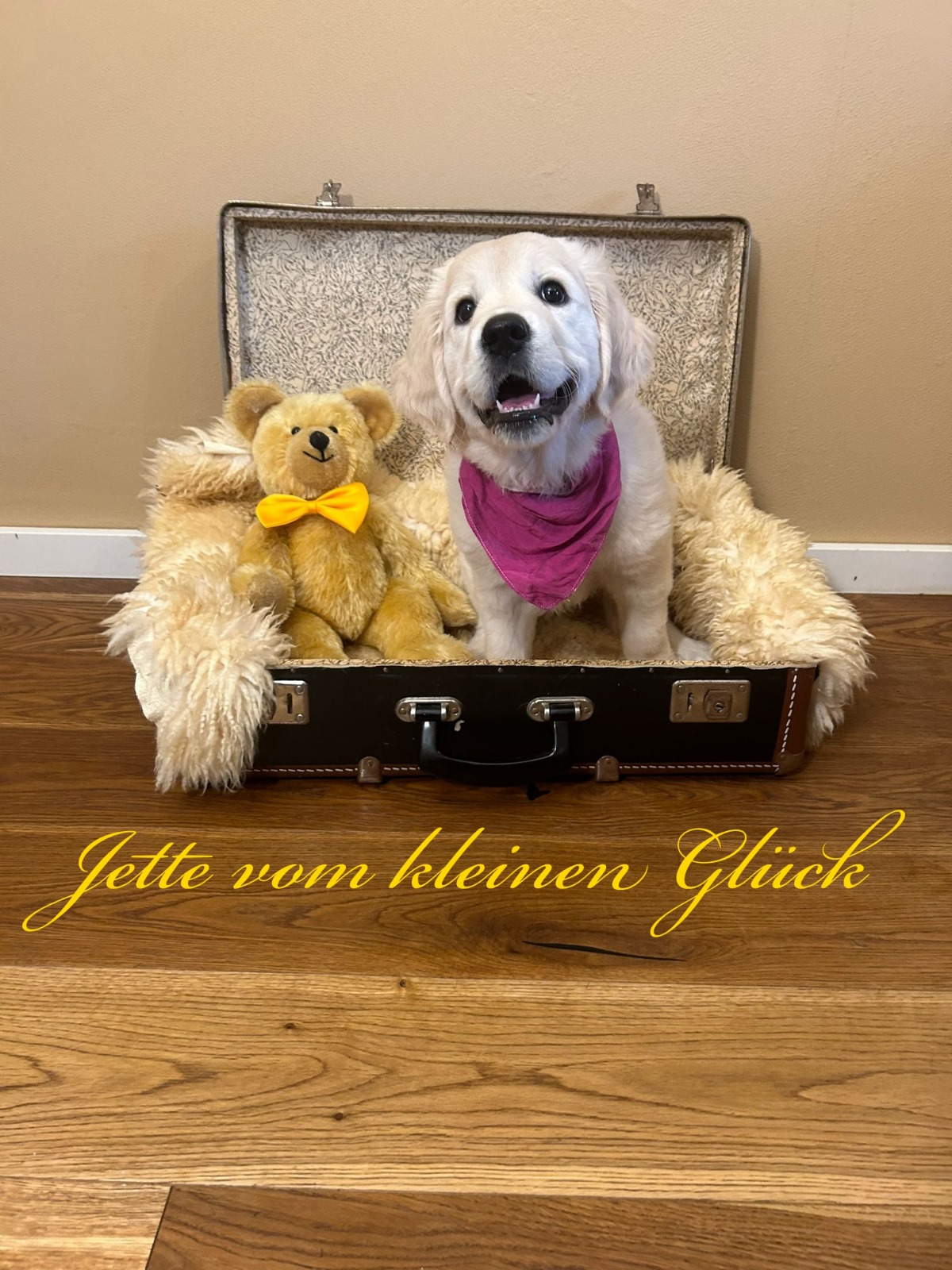 Jette Hompage 23.06.2024 1