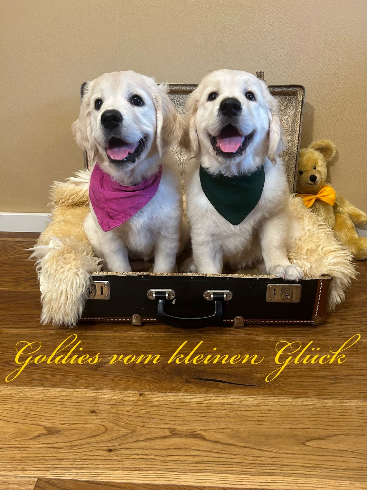 Jette&Jaromir23.06.2024 1