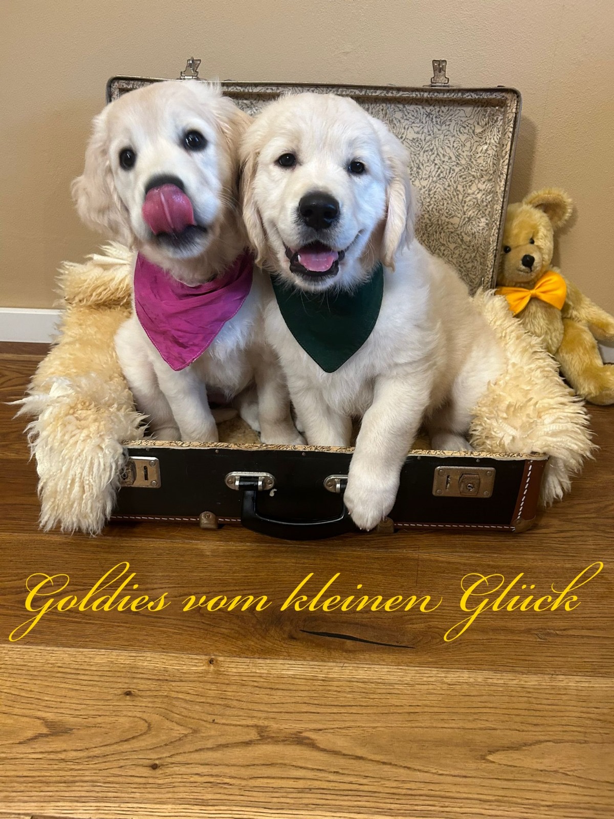 Jette&Jaromir23.06.2024 3