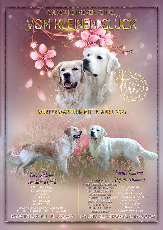 Wurferwartung Coco & Mike