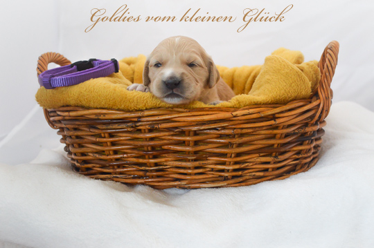 VomkleinenGlück D Chen17042022 111