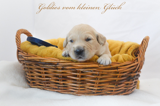 VomkleinenGlück D Chen17042022 17