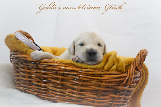 VomkleinenGlück D Chen17042022 21