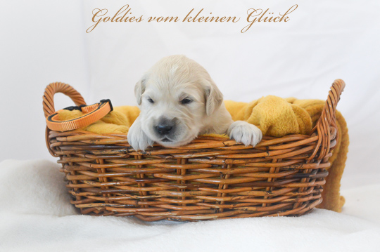 VomkleinenGlück D Chen17042022 36