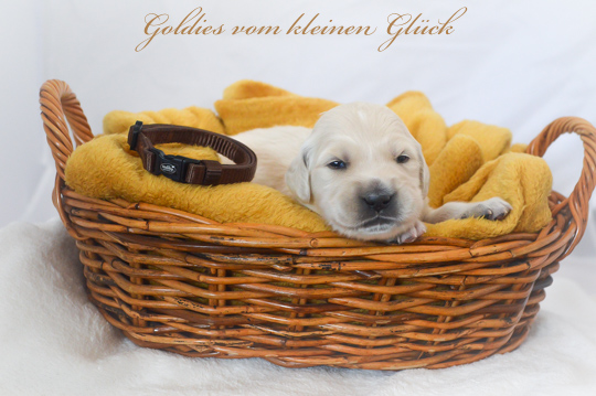 VomkleinenGlück D Chen17042022 67