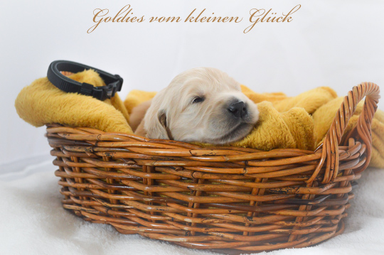 VomkleinenGlück D Chen17042022 83