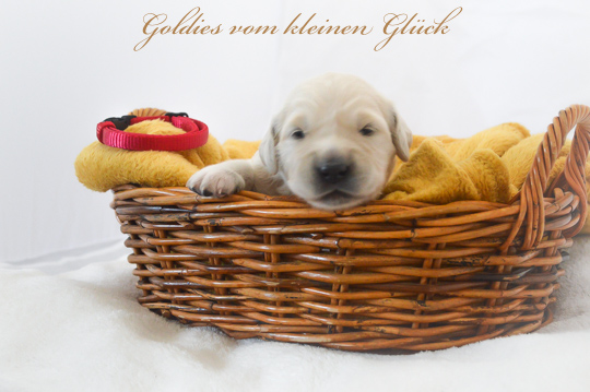 VomkleinenGlück D Chen17042022 91