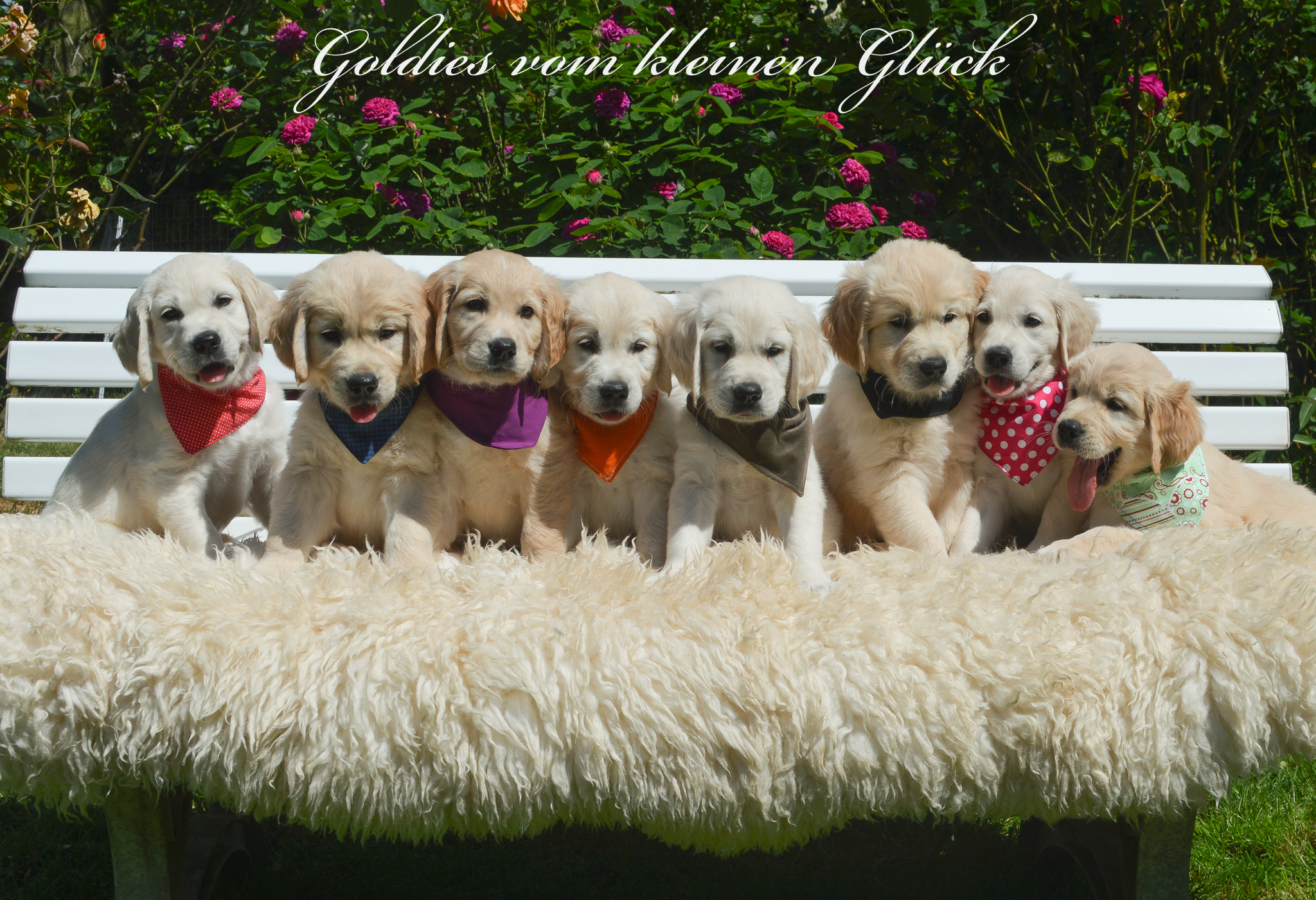 Gruppenfoto D chens 22.05.2022