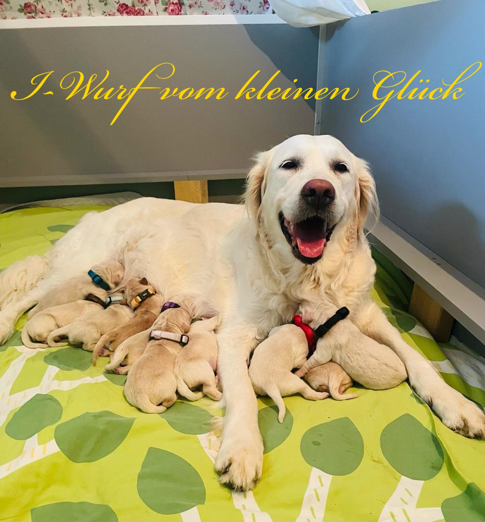 WhatsApp Image 2023 10 03 at 15.15.28