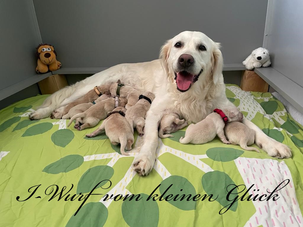 WhatsApp Image 2023 10 03 at 15.23.56