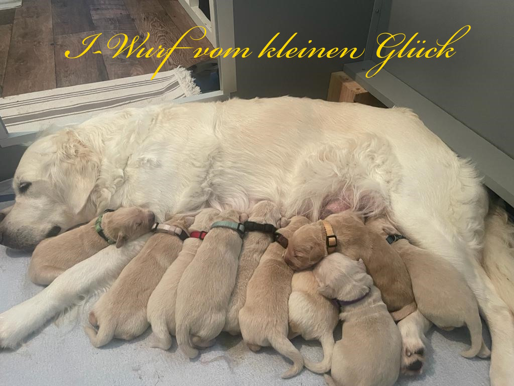 WhatsApp Image 2023 10 03 at 15.23.57