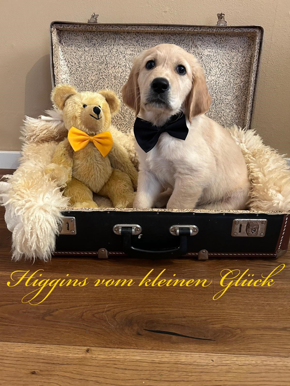 PHOTO 2024 08 28 16 42 31