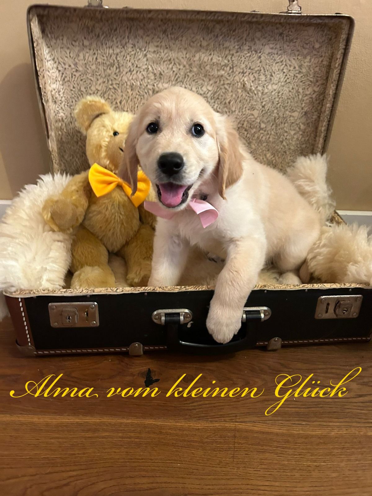 PHOTO 2024 08 28 17 20 13