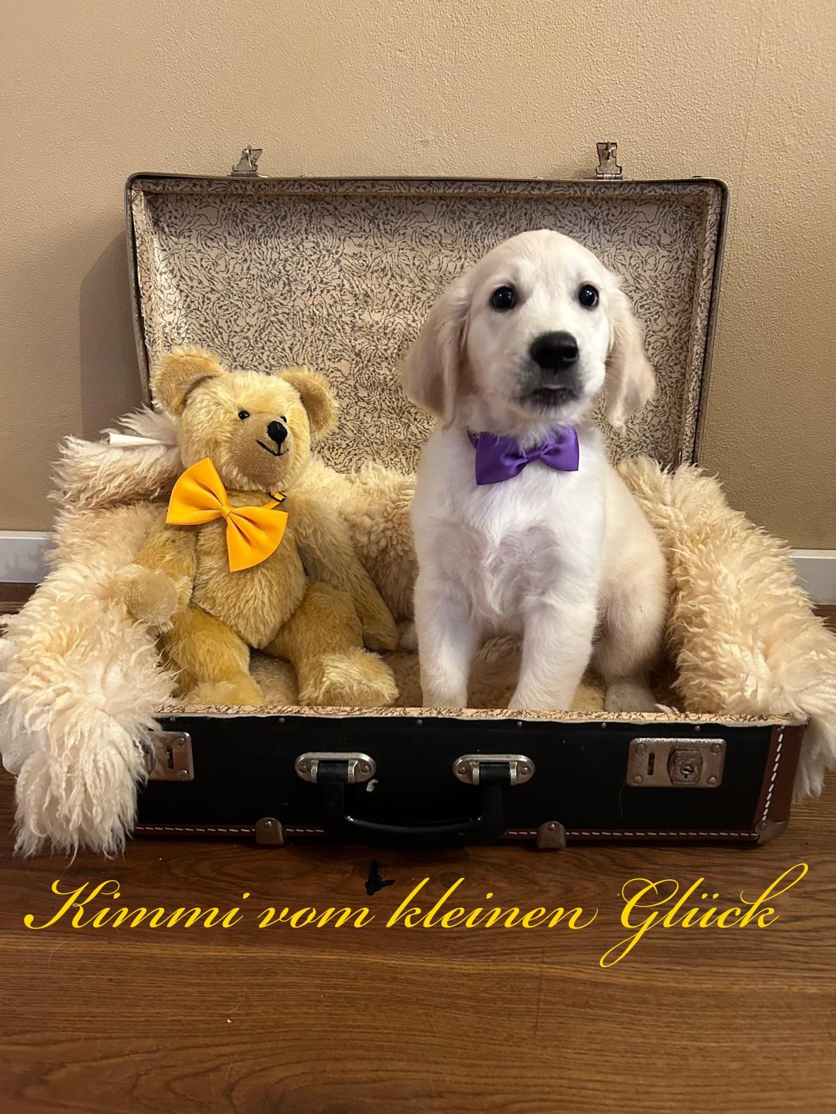 PHOTO 2024 08 28 17 53 28