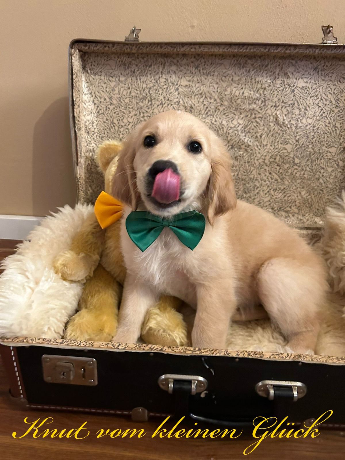 PHOTO 2024 08 29 20 49 00