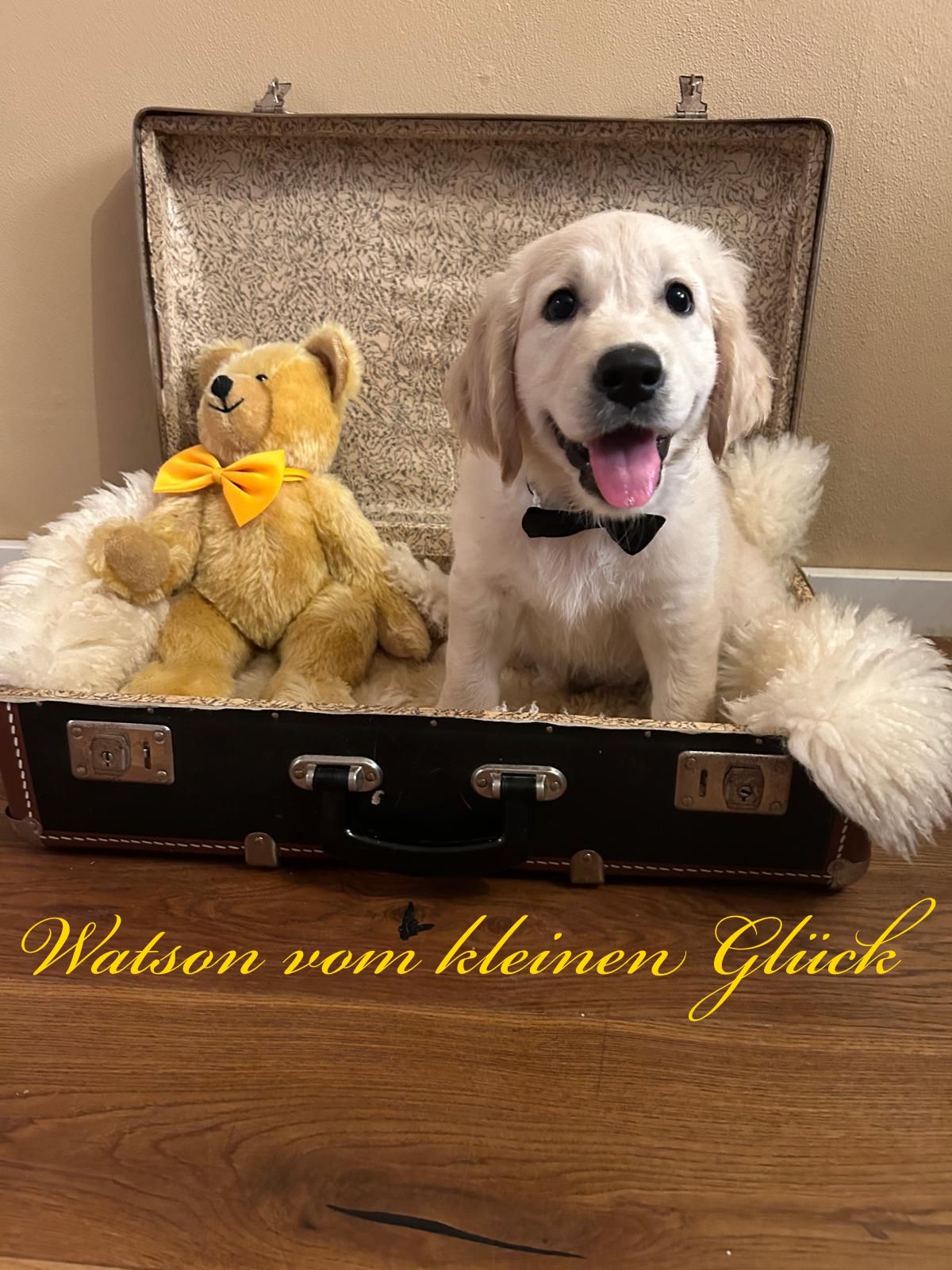 PHOTO 2024 08 30 22 33 01