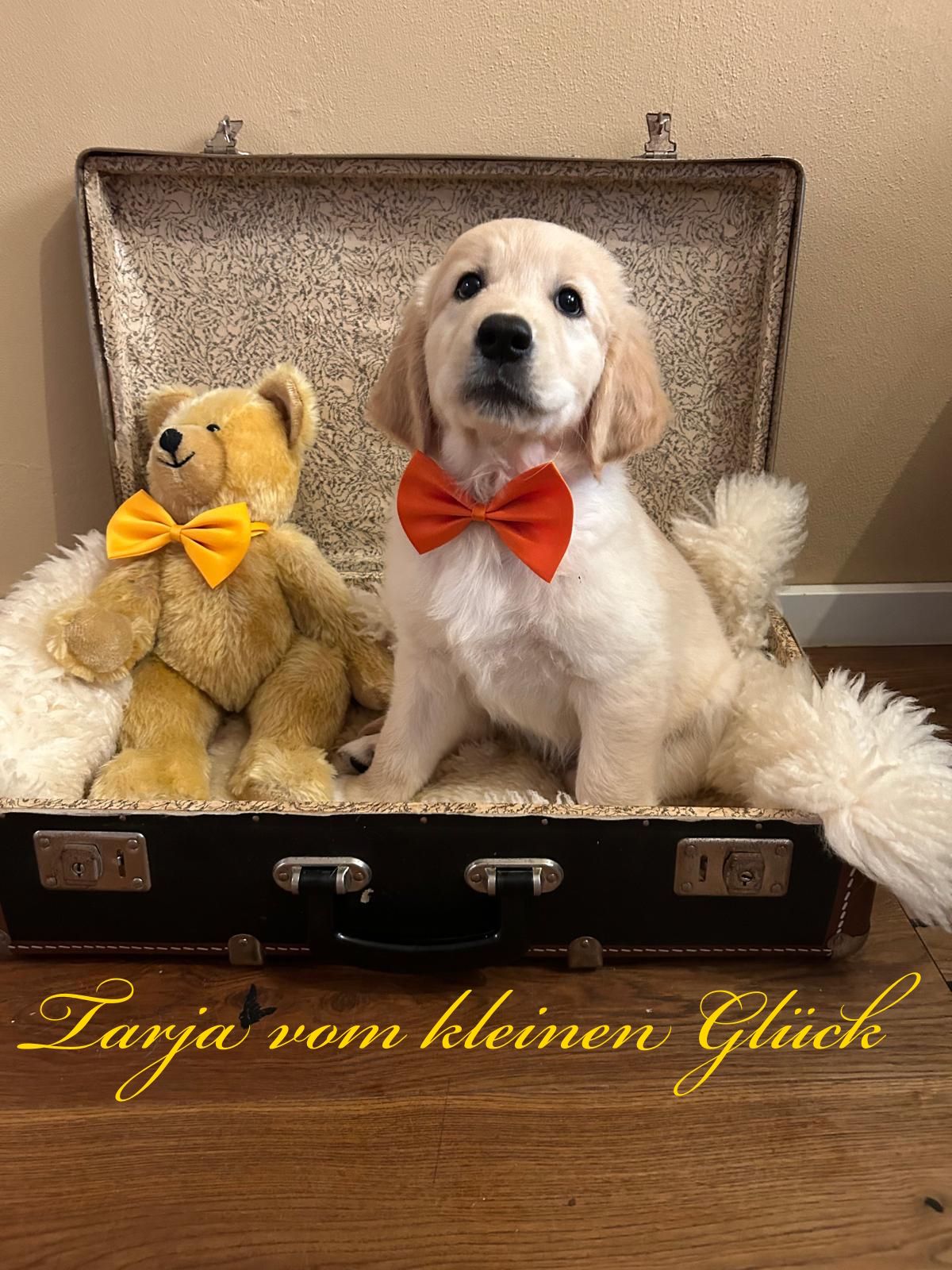 PHOTO 2024 08 31 17 30 03