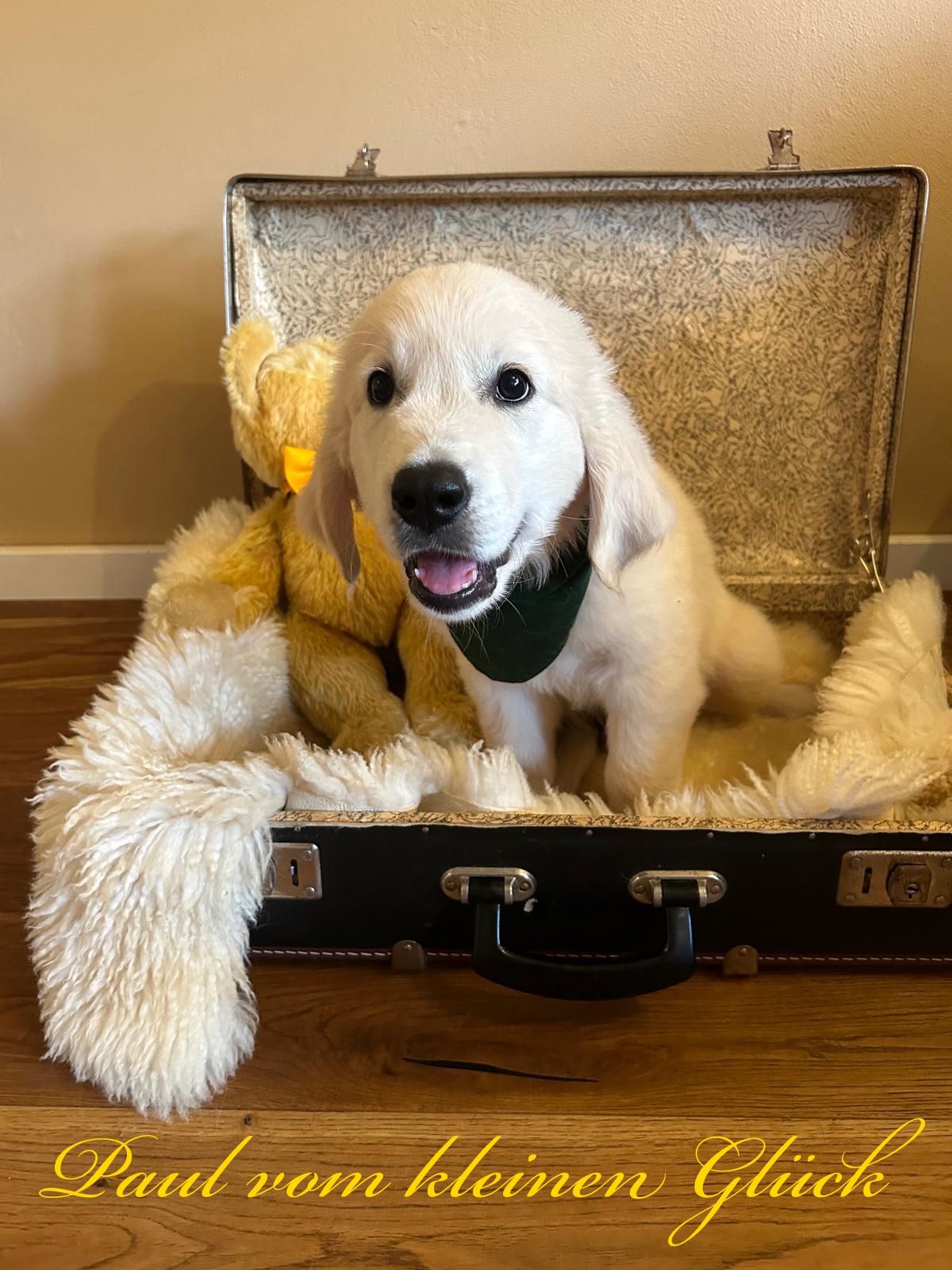 PHOTO 2024 09 04 18 44 39