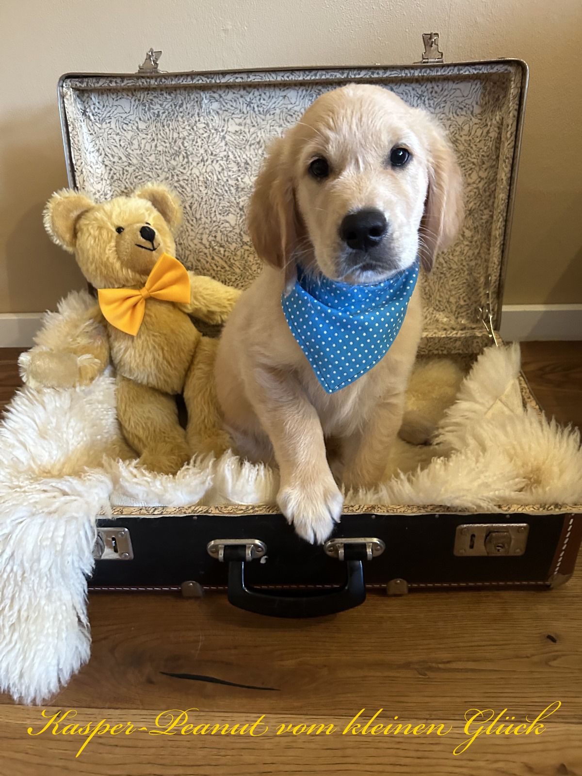 PHOTO 2024 09 05 15 45 13