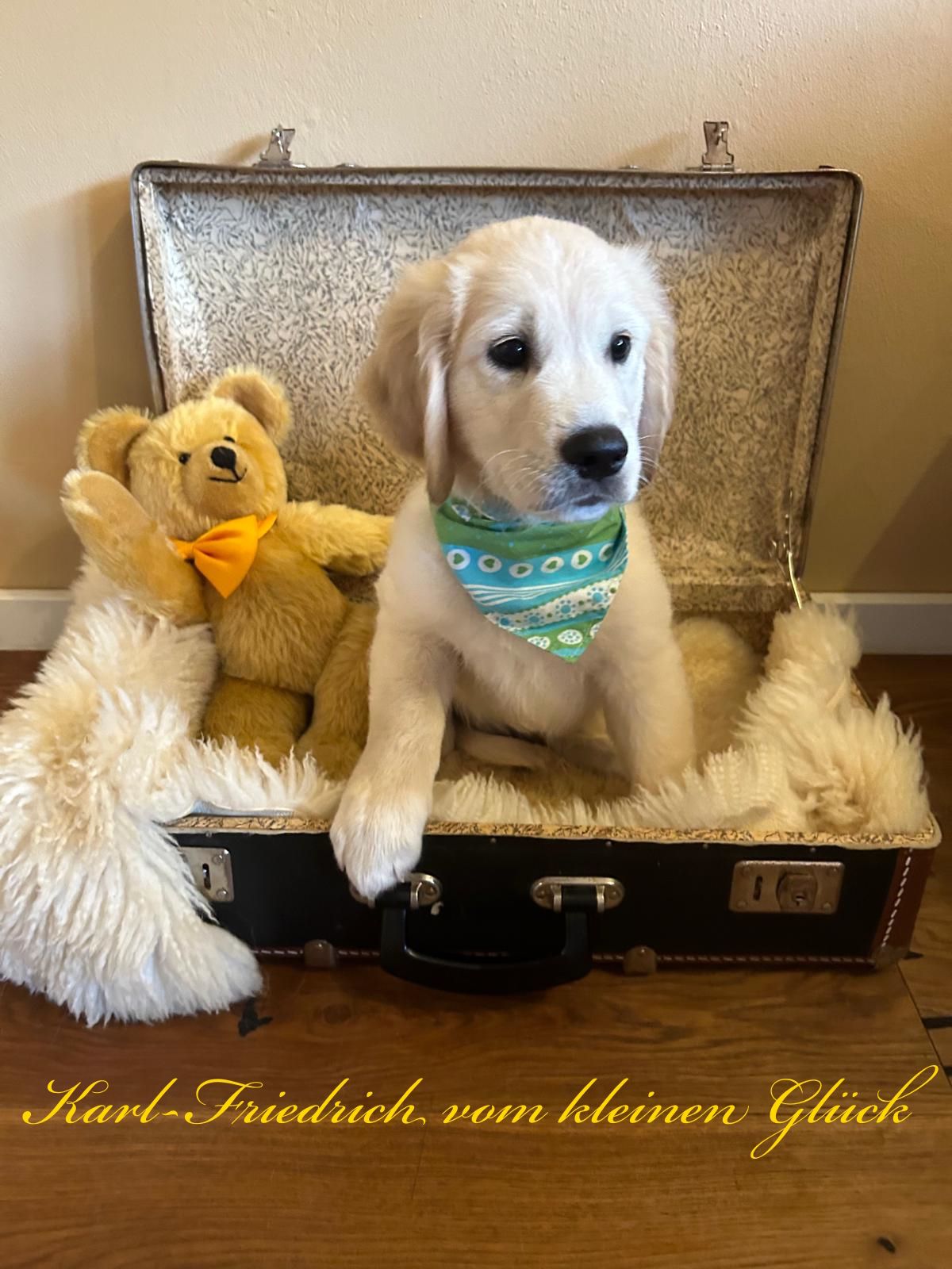 PHOTO 2024 09 05 16 23 08