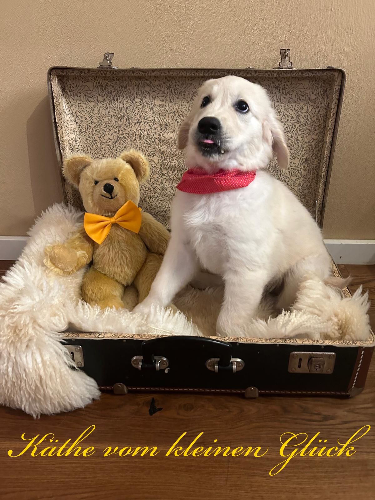 PHOTO 2024 09 06 22 08 48