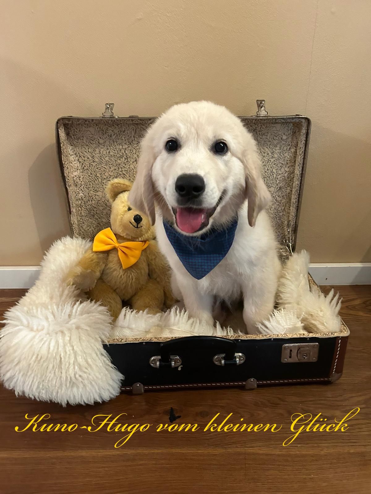 PHOTO 2024 09 20 22 21 00