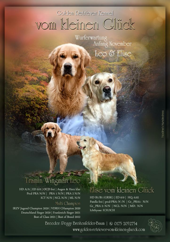 Wurferwartung Elise & Leo