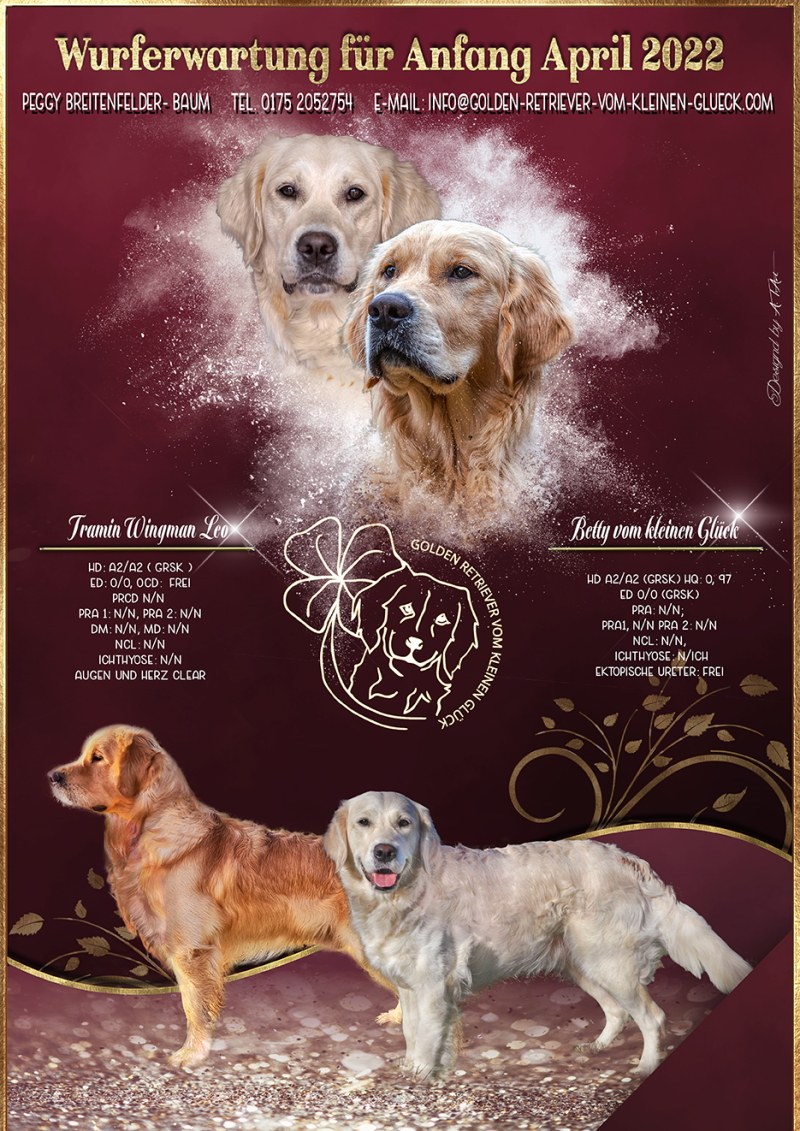 2022 Wurfankuendigung 01