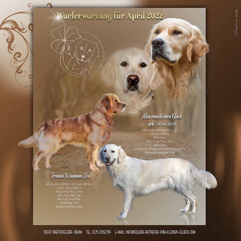 2022 Wurfankuendigung 02