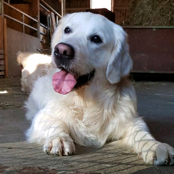 Elise Merlin 2020 01