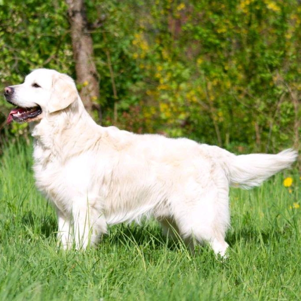 Elise Merlin 2020 02