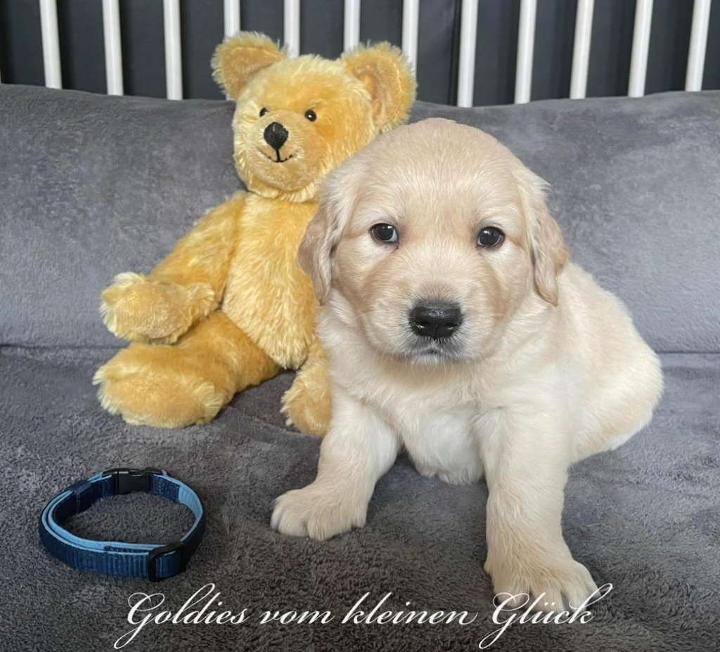 Diego