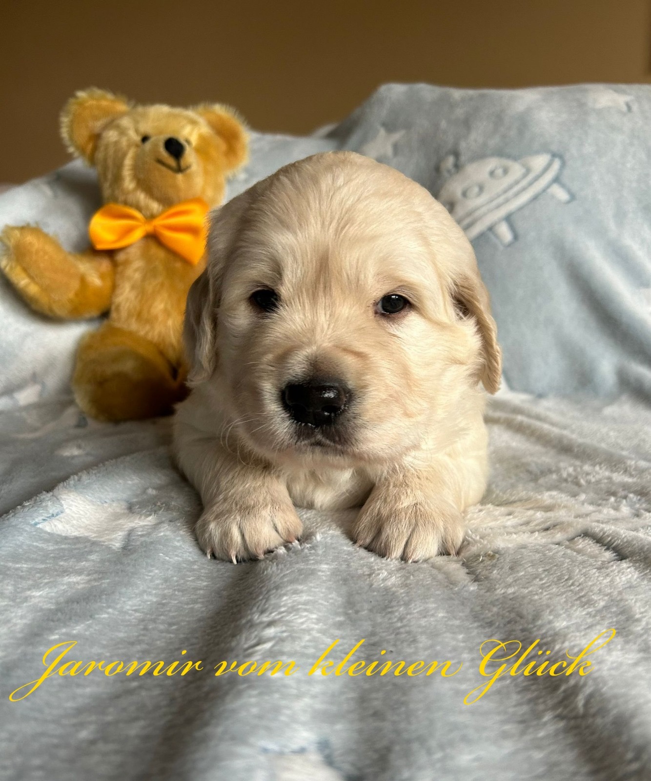 Jaromir